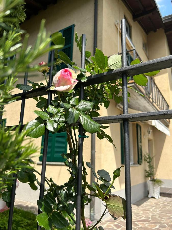 Sebino Holiday Home Monte Isola Bagian luar foto